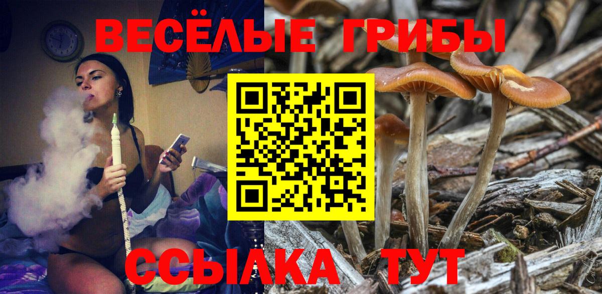 Чистополь  Галлюциногенные грибы Magic Shrooms  Вход с VPN  Галлюциногенные грибы GOLDEN TEACHER 