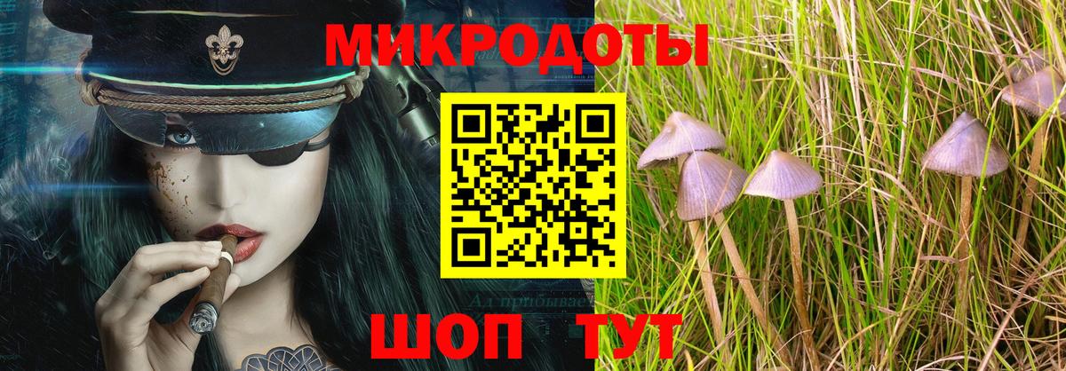 Галлюциногенные грибы ЛСД Чистополь